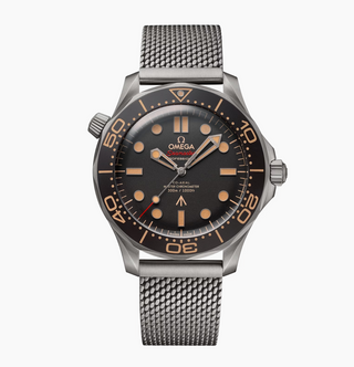 Omega Titanium Seamaster Planet Ocean