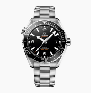 Omega Stainless Steel Seamaster Planet Ocean