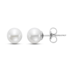 Mastoloni White 14K Gold Akoya Pearl Stud Earrings