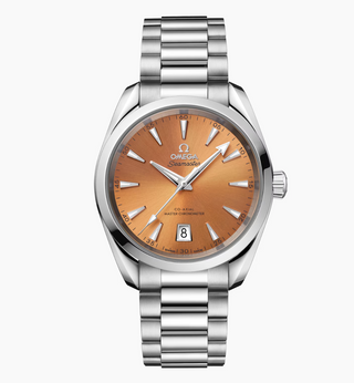 Omega Stainless Steel Seamaster Aqua Terra