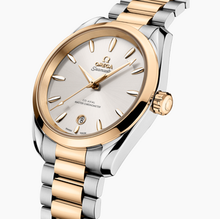 Omega 18 Karat/Stainless Steel Seamaster Aqua Terra