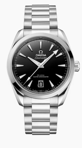 Omega Stainless Steel Aqua Terra