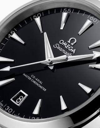 Omega Stainless Steel Aquaterra