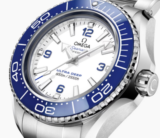 Omega Stainless Steel Seamaster Planet Ocean