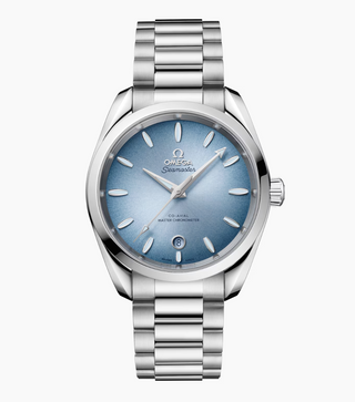 Omega Stainless Steel Seamaster Aqua Terra