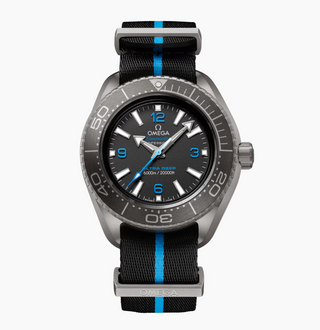 Omega Titanium Seamaster Planet Ocean