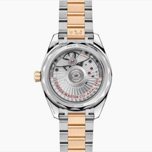 Load image into Gallery viewer, Omega Seamaster Aqua Terra 34MM
